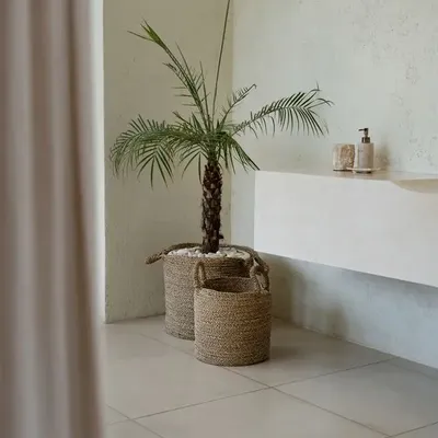 Boîtes de rangement  - Le Panier Sensity - Naturel - M - BAZAR BIZAR LIVING