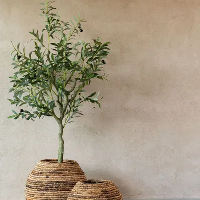 Decorative objects - Rustic River - J-LINE BY JOLIPA