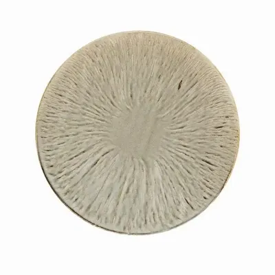 Assiettes au quotidien - Art de la table ligne ECLIPSE - CFOC