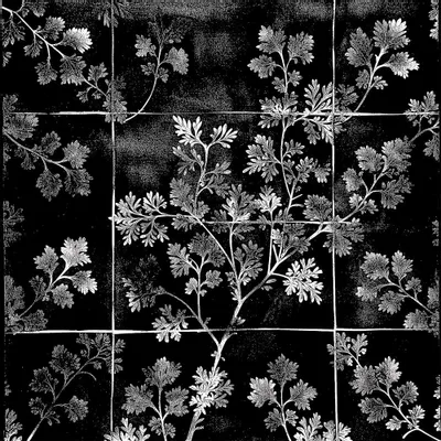 Wallpaper - Wallpaper sheet #4 - Vienna Herbarium - JOLI JOUR PARIS