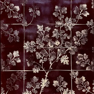 Papiers peints - Feuille de papier peint n°6 - Vienna Herbarium - JOLI JOUR PARIS