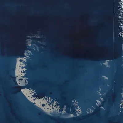 Papiers peints - Feuille de papier peint n°17 - Nara Minuit - JOLI JOUR PARIS