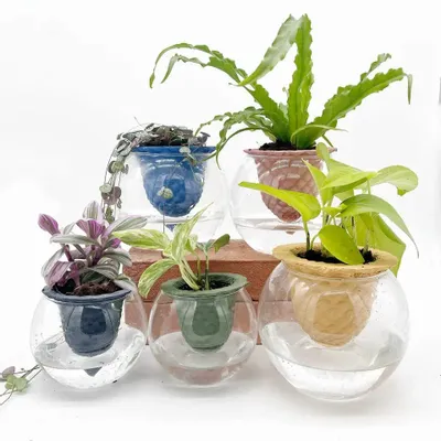Vases - Pot en argile - PIANO B - design-auto-irrigant 3D avec verre pour plan - COMMON PLACE