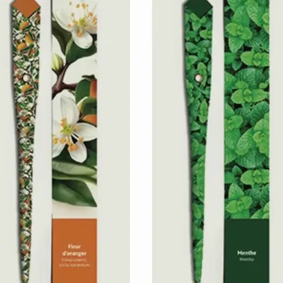 Pens and pencils - 48 Paper pens - SCENTED FLOWER - PLUME DE PAPIER