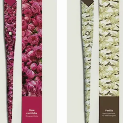 Stylos, feutres et crayons - 48 Stylos en papier - FLEUR PARFUMÉE - PLUME DE PAPIER