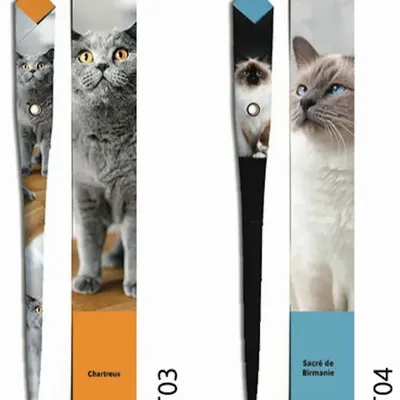 Stylos, feutres et crayons - 48 Stylos en papier - COLLECTION CHAT - PLUME DE PAPIER