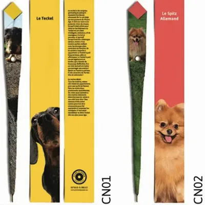 Stylos, feutres et crayons - 48 Stylos en papier - COLLECTION CHIEN - PLUME DE PAPIER