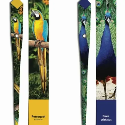 Stylos, feutres et crayons - 48 Stylos en papier - COLLECTION ANIMAUX - PLUME DE PAPIER
