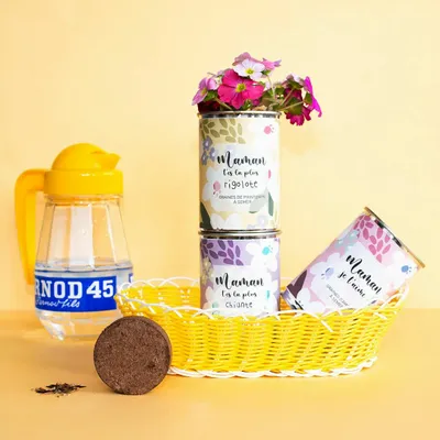 Cadeaux - Kit à semer "Maman t'es la plus Rigolote" Fabriqué en France - MAUVAISES GRAINES