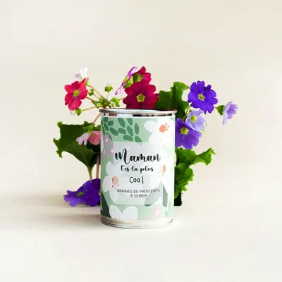 Cadeaux - Kit à semer "Maman t'es la plus Cool" Fabriqué en France - MAUVAISES GRAINES
