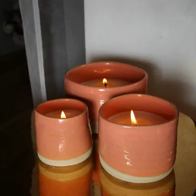 Bougies - Bougie parfumée rechargeable Fleurs du Sud 360g - MAISON TASSAN