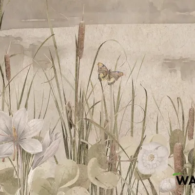 Wallpaper - wallpaper - MONTPELLIER - WALLYART