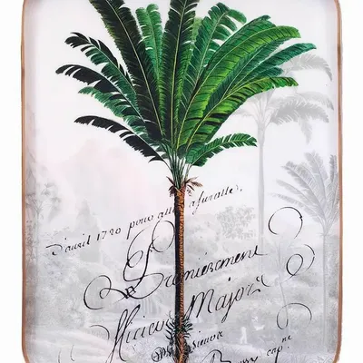 Trays - Manicaria enamelled tray - PARADISIO IMAGINARIUM