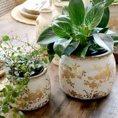 Décorations florales - Anniversary - CHIC ANTIQUE A/S