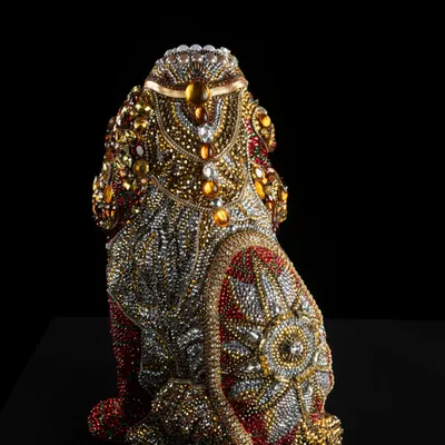 Pet accessories - Mandy - BRANDY ROGER