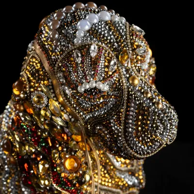 Pet accessories - Mandy - BRANDY ROGER