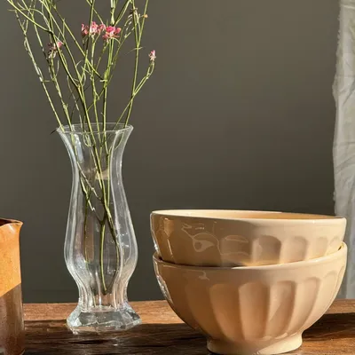 Bols - 2 grands bols rose clair vintage D18 - OFFICE OBJETS