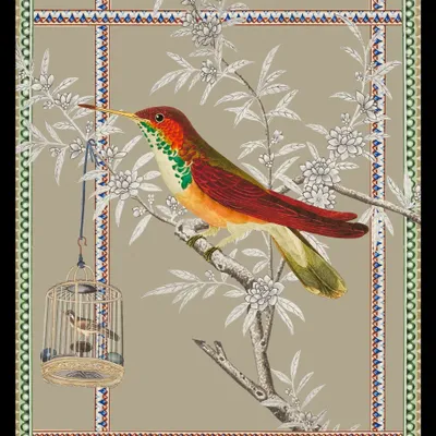 Poster - bird of paradise illustration - PARADISIO IMAGINARIUM