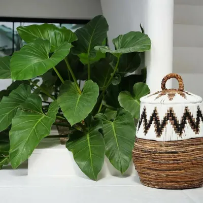 Paniers à linge - Le panier de plage Little Bay - Blanc naturel - M - BAZAR BIZAR LIVING