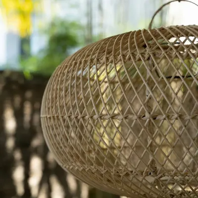 Hanging lights - The Wholly Pendant - Natural - M - BAZAR BIZAR LIVING