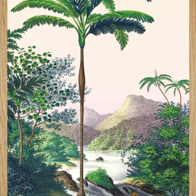 Affiches - Illustration Sur les rives de Japura - PARADISIO IMAGINARIUM