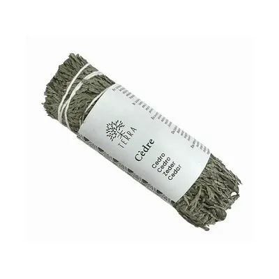 Scents - White cedar thuja natural bundle 25-30g 10cm - ARABESK