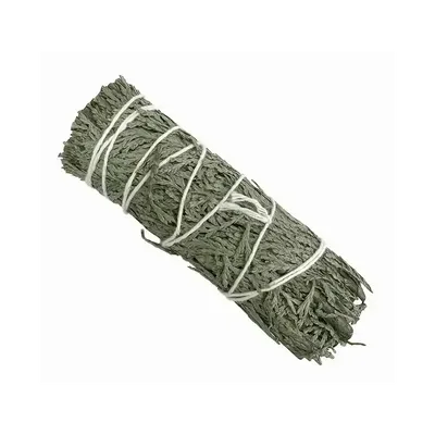 Senteurs - Cedre blanc thuya naturel fagot 25-30g 10cm - ARABESK