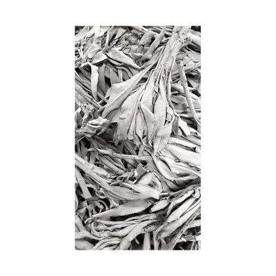 Scents - White Sage California Superior Quality 1KG - ARABESK