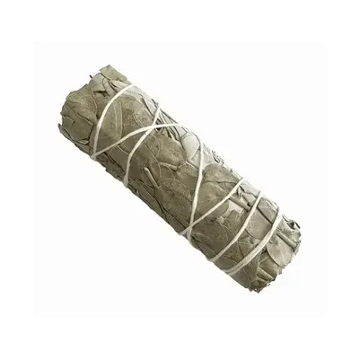 Senteurs - Sauge blanche & Eucalyptus fagot 25-30g 10cm - ARABESK