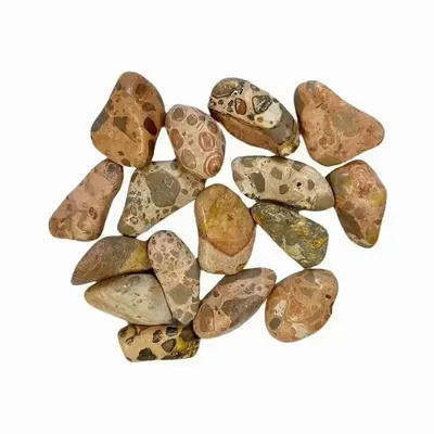Jewelry - Leopard Jasper Rhyolite AB tumbled stone 250g - ARABESK