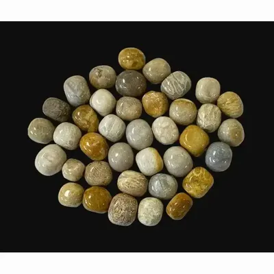 Jewelry - Fossil Coral A tumbled stone 250g - ARABESK