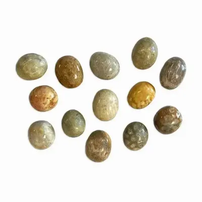 Jewelry - Fossil Coral A tumbled stone 250g - ARABESK