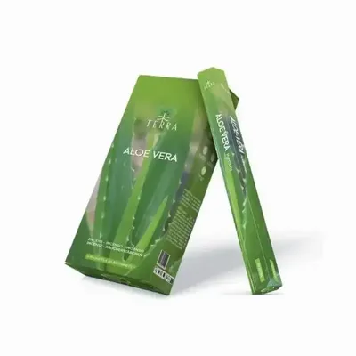 Scents - Terra Aloe vera hexa charcoal-free incense 30grs - ARABESK