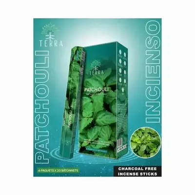 Senteurs - Encens Terra patchouli hexa sans charbon 30grs - ARABESK