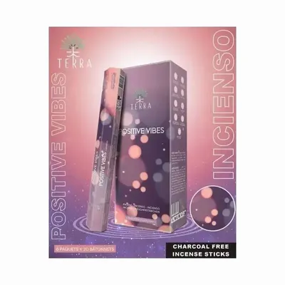 Senteurs - Encens Terra positive vibes hexa sans charbon - ARABESK