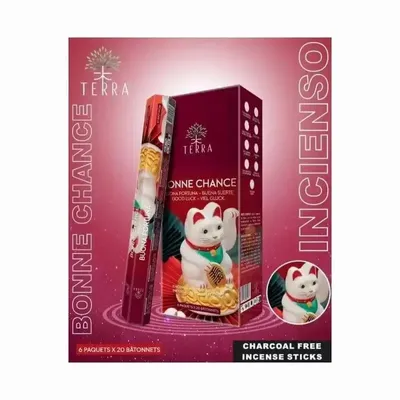 Scents - Terra Bonne Chance hexa charcoal-free incense - ARABESK