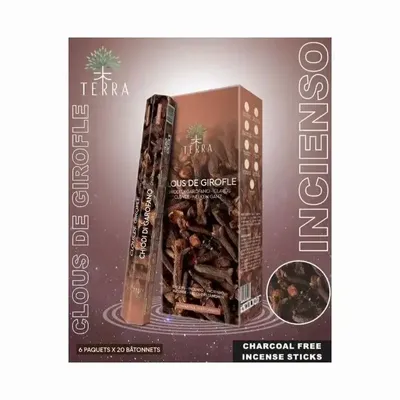 Senteurs - Encens Terra clou de girofle hexa sans charbon 30grs - ARABESK