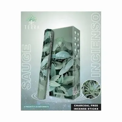 Senteurs - Encens Terra sauge hexa sans charbon 30grs - ARABESK