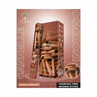 Senteurs - Encens Terra cannelle hexa sans charbon 30grs - ARABESK