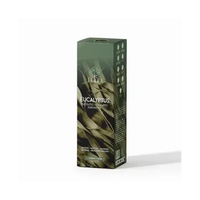 Scents - TERRA Eucalyptus incense without charcoal 12grs - ARABESK