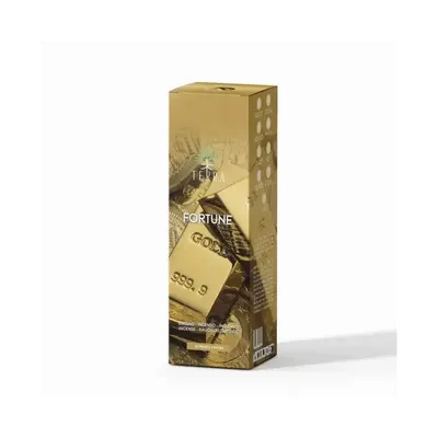 Senteurs - Encens TERRA Fortune sans charbon 12grs - ARABESK