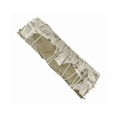 Senteurs - Sauge Blanche & Eucalyptus Dollar Fagot 25-30g 10cm - ARABESK