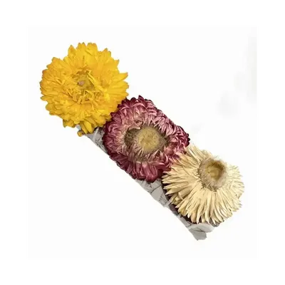 Senteurs - Sauge Blanche & Fleur de Paille Fagot 25-30gr 10cm - ARABESK