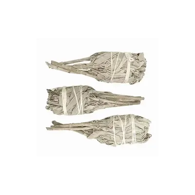 Scents - White Sage California Torch 25-30g 11cm - ARABESK