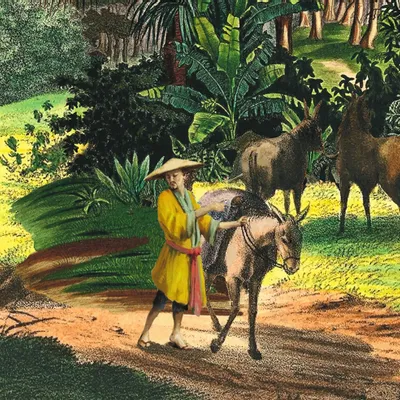 Poster - Illustration On the banks of the Mekong - PARADISIO IMAGINARIUM