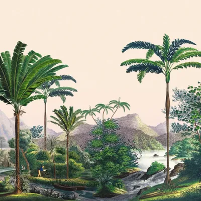 Affiches - Illustration Panoramique Manicaria - PARADISIO IMAGINARIUM
