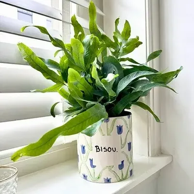 Vases - Pot bisou - AND NOOK