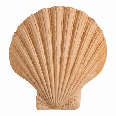 Coffrets et boîtes - Cabas coffret parfum d'ambiance et décors Bain de Soleil - Mangue Sorbet - MATHILDE M.