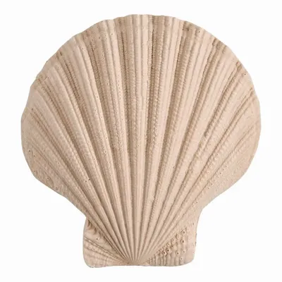 Caskets and boxes - Tote bag set of room perfume and Bain de Soleil decorations - Perle de Coco - MATHILDE M.