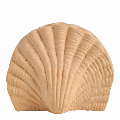 Parfums d'intérieur - Surprises parfumées Bain de Soleil - Mangue Sorbet - MATHILDE M.